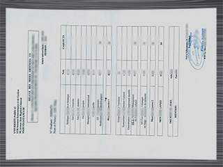 Université Paris 13 transcript