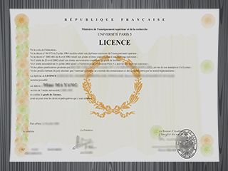 Université Paris 5 diploma