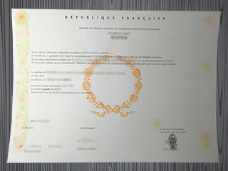 Université Paris 7 diploma