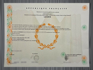 Université Paris 8 diploma