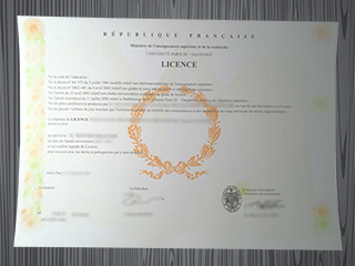Université Paris-Dauphine diploma