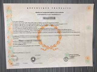 Université d'Aix-Marseille I diploma