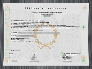 Université de Lorraine diploma
