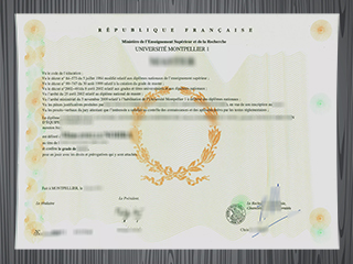 Université de Montpellier 1 diploma