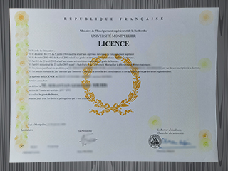 Université de Montpellier diploma