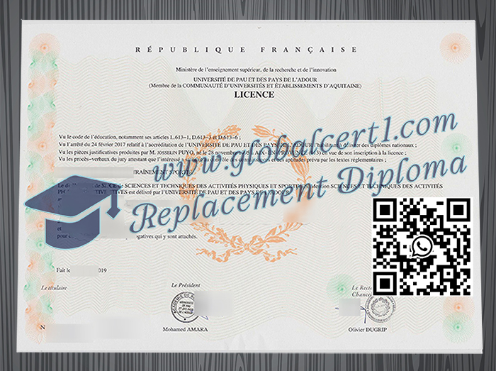 Université de Pau et des pays de l'Adour degree