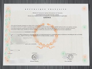 Université de Pau et des pays de l'Adour diploma