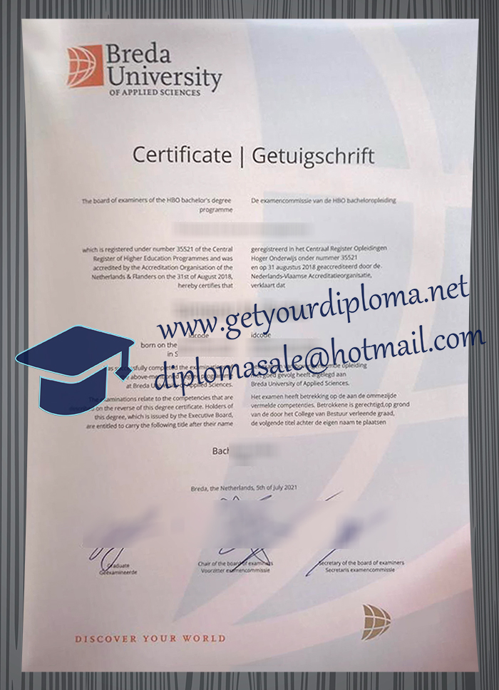 Breda University of Applied Sciences degree