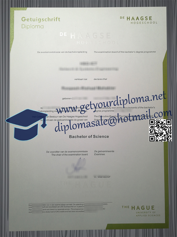 De Haagse Hogeschool degree