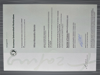 Erasmus Universiteit Rotterdam diploma