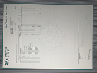 European University transcript