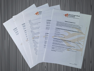 Hanzehogeschool Groningen transcript