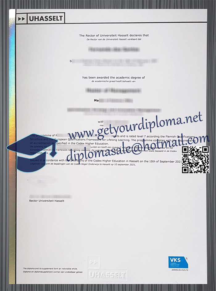 Hasselt University degree