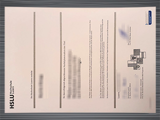 Hochschule Luzern diploma