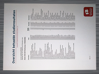 Hogeschool Rotterdam transcript