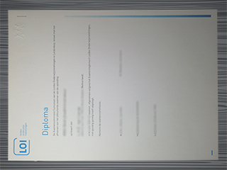 Leidse Onderwijsinstellingen diploma