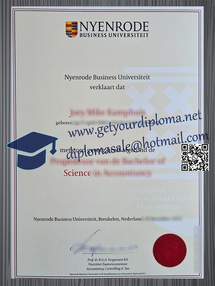 Nyenrode Business Universiteit degree