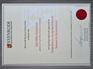 Nyenrode Business Universiteit diploma
