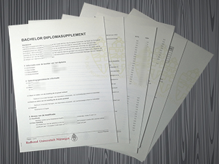 Radboud Universiteit Nijmegen transcript