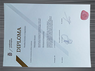 Rijksuniversiteit Groningen diploma