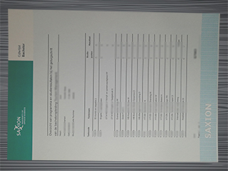 Hogeschool Saxion transcript
