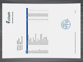 Delft University of Technology transcript