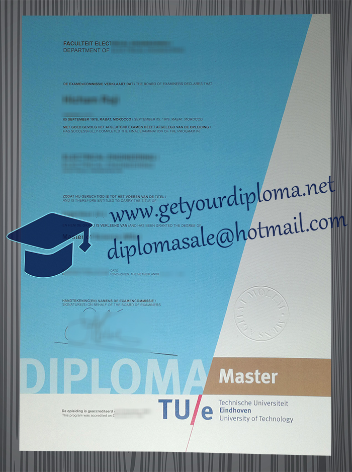 Technische Universiteit Eindhoven degree