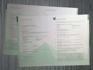 Universität St. Gallen transcript