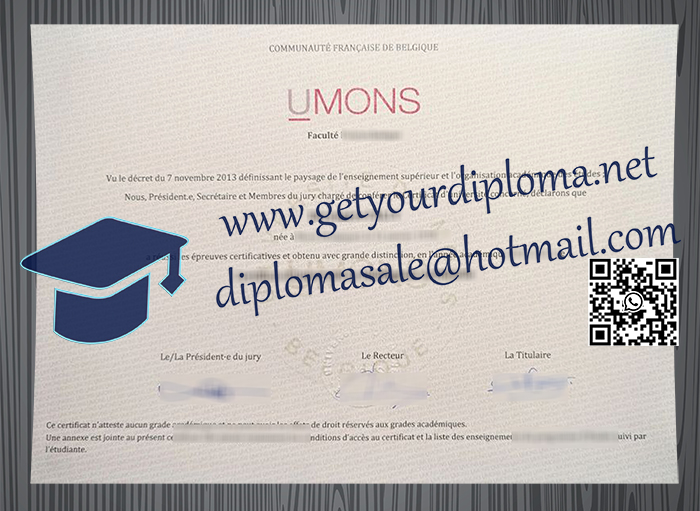 Université de Mons degree