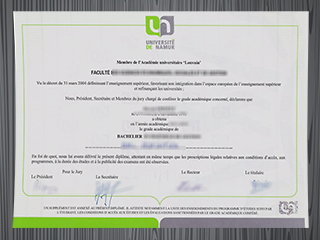 Université de Namur diploma
