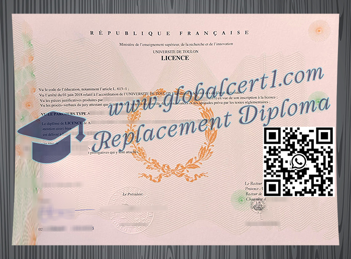 Université de Toulon degree