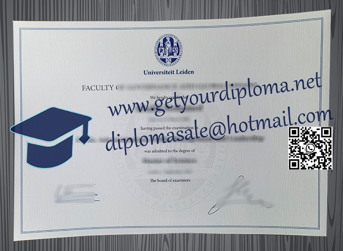 Universiteit Leiden degree