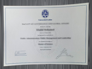 Universiteit Leiden diploma