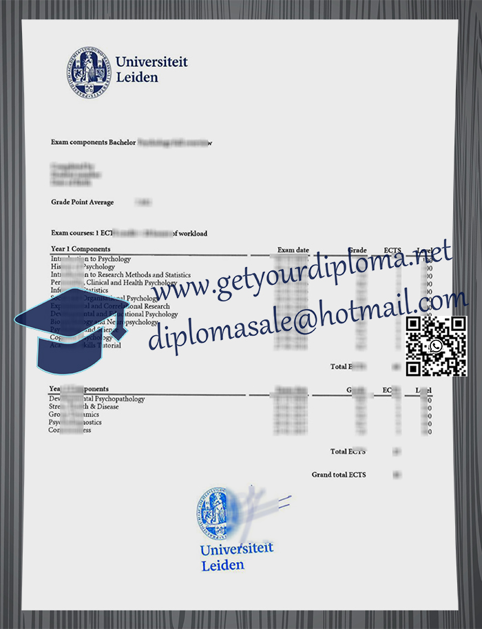 Universiteit Leiden transcript