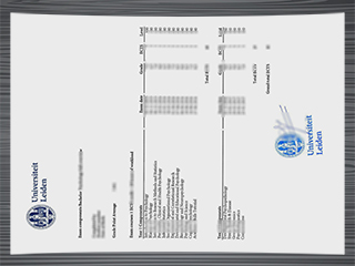 Universiteit Leiden transcript