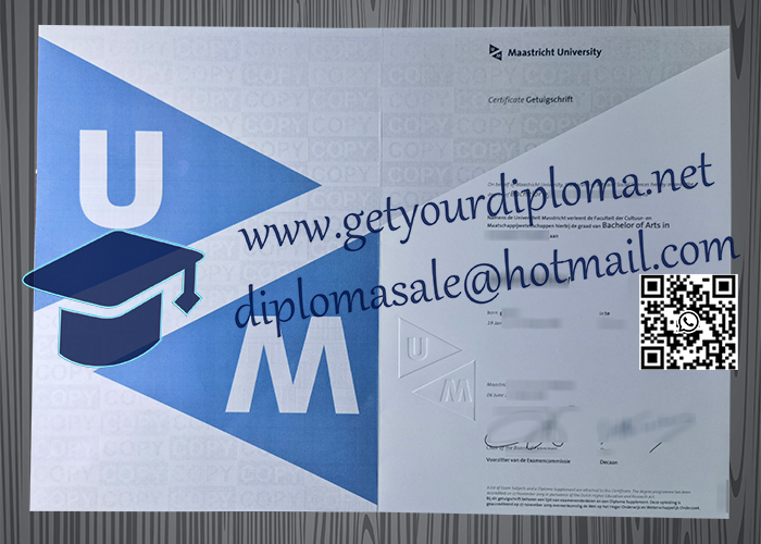 Universiteit Maastricht degree