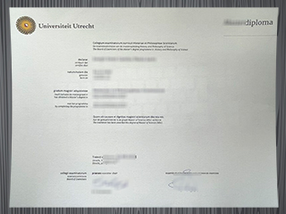 Universiteit Utrecht diploma