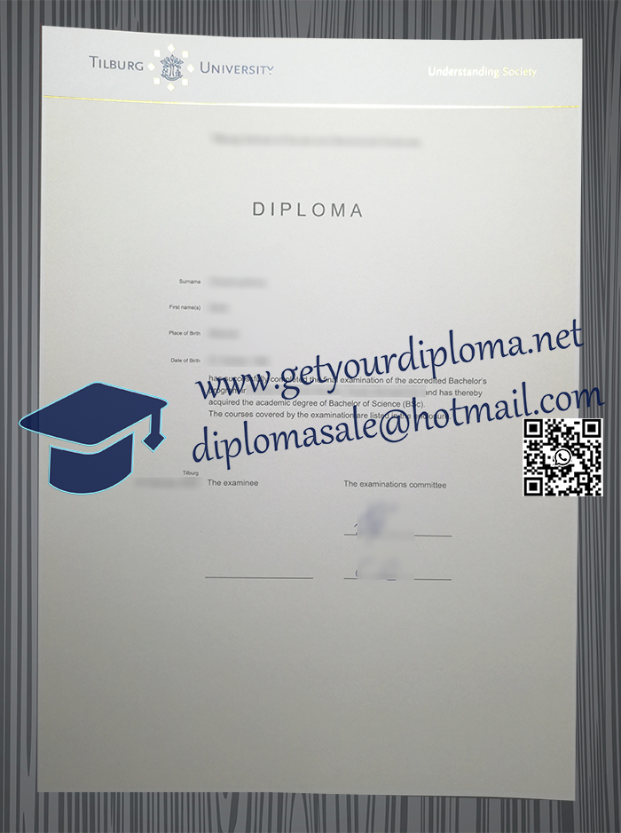 Universiteit van Tilburg degree