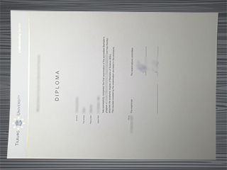 Universiteit van Tilburg diploma