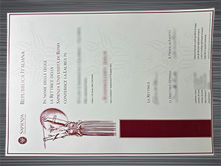 Sapienza Università di Roma diploma