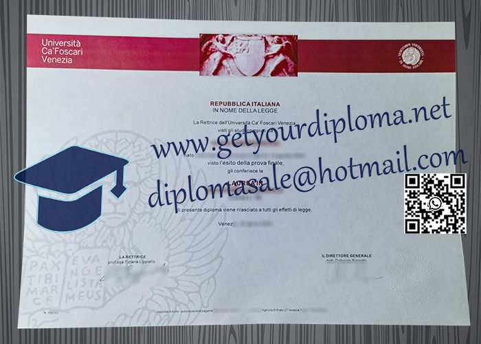 Università Ca' Foscari Venezia degree