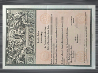 Università degli Studi di Cagliari diploma