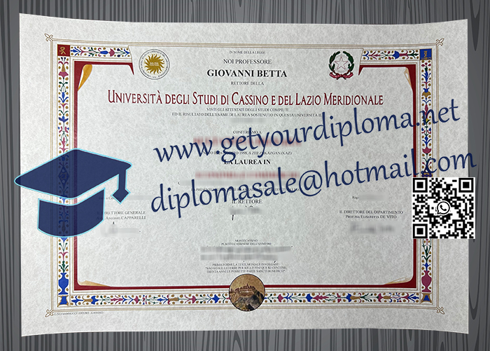 Università degli Studi di Cassino e del Lazio Meridionale degree