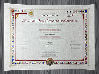 Università degli Studi di Cassino e del Lazio Meridionale diploma
