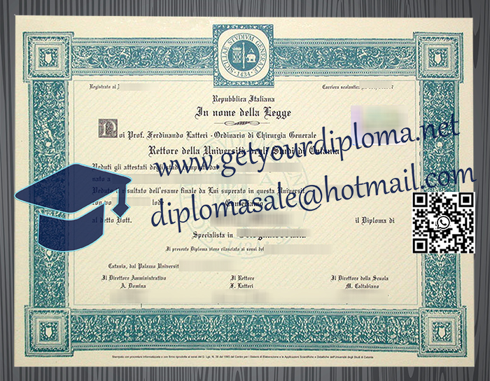 Università degli Studi di Catania degree