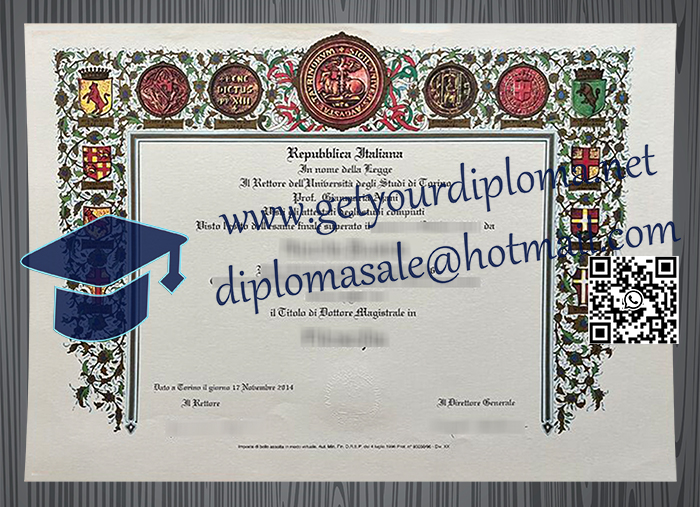 Università degli Studi di Torino degree