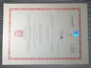 Università degli studi della Campania Luigi Vanvitelli degree