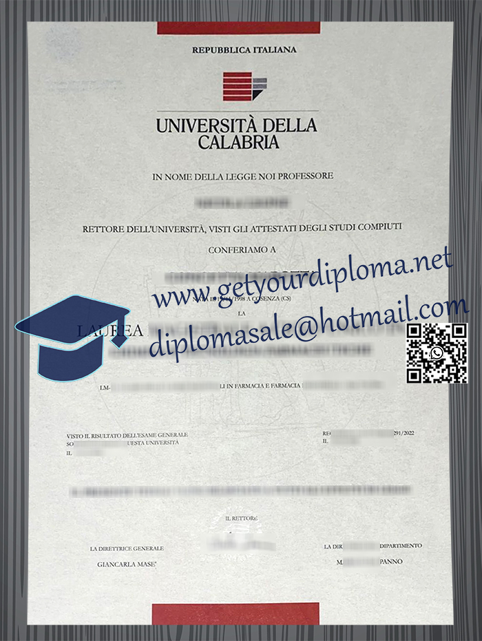 Università della Calabria degree