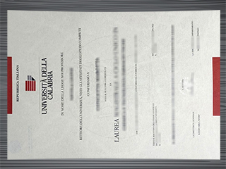 Università della Calabria diploma