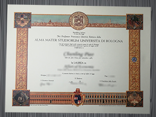 Università di Bologna diploma
